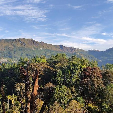 Green Tea View Munnar Exterior foto